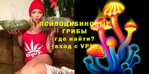 МДПВ Алексеевка