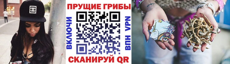 KRAKEN сайт  Боровск  Галлюциногенные грибы MAGIC MUSHROOMS 